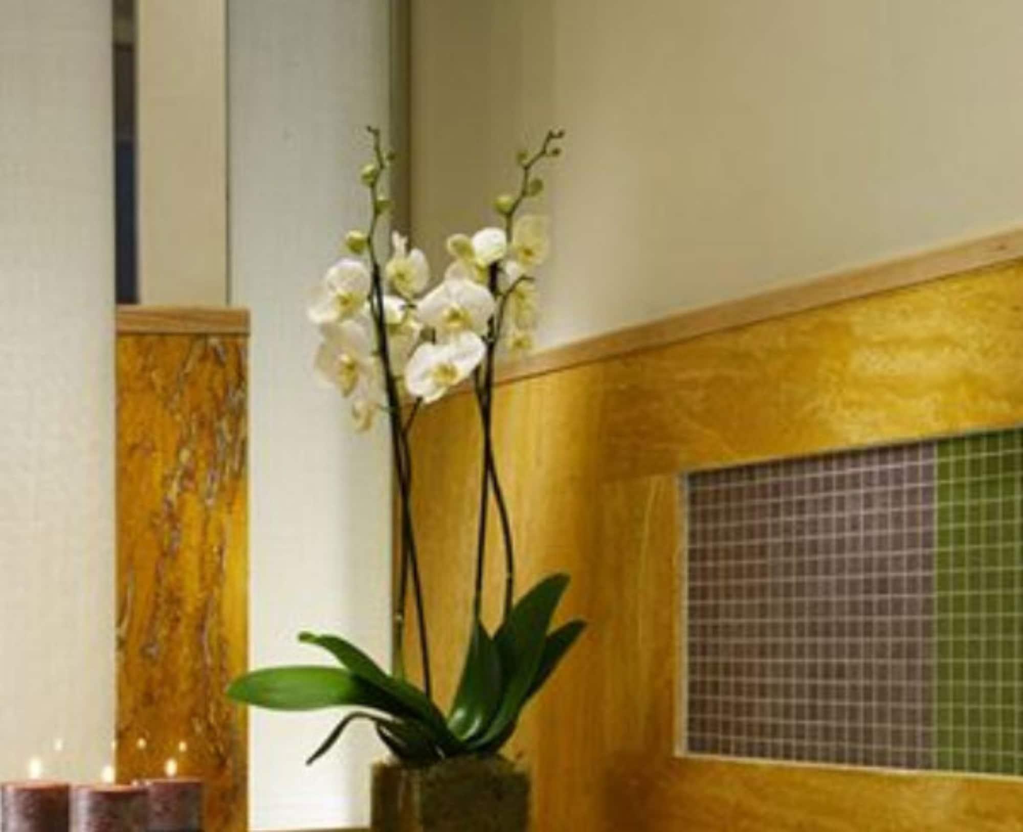 Babuino 181 - Small Luxury Hotels Of The World Roma Esterno foto